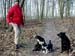 Thomas_hundar_Lodde